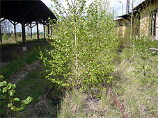 min 266 4.jpg min 266 4.jpg